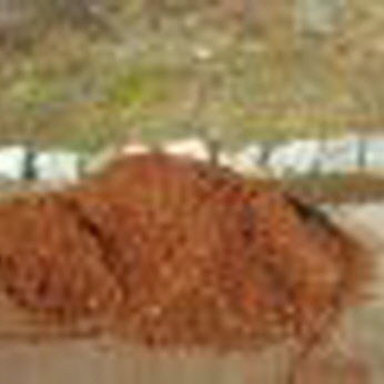 Rindenmulch